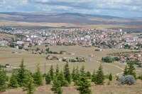 Genel Görünüm