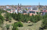 Genel Görünüm