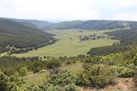 Hisarbey Köyü Yayla