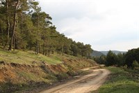 Hisarbey Köyü Yayla